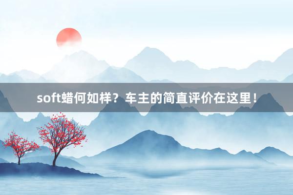 soft蜡何如样？车主的简直评价在这里！